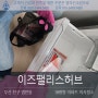 부산시 부산진구 범천동 범내골역이즈팰리스허브 아파트 (도시형) 이사청소