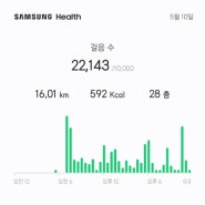 253일차 직장인 다이어트일기 (240510, 금) - 운동, 식단기록 (만보걷기) / 2만보 달성!
