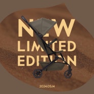 줄즈 : 2024 NEW Limited Edition, 헤이즐 브라운