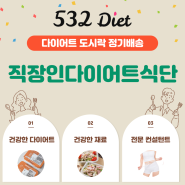 직장인 다이어트 식단 고민, 532다이어트 식단 도시락으로 해결:)