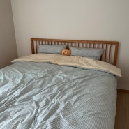 어렵게 고른 신혼 침대와 침구 리뷰 (에이스침대 하이브테크 VII, 우목수공방, 파마파미)