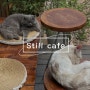 [🇻🇳달랏] Still Cafe :: 짱 귀여운 고양이 강아지들로 가득한 달랏 감성카페