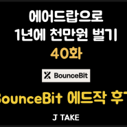 바운스빗 BounceBit 상장 및 수익후기 - 천년에 프로젝트(40)