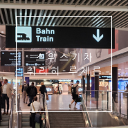 스위스 취리히 공항에서 루체른역까지 기차 타고 환승해서 이동 (SBB 앱)