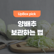 양배추, 두부, 브로콜리 보관법 (feat. 다이어트 식단)