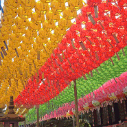 봉은사 / 서울 가볼 만한 곳 : 부처님 오신 날 연등 장식