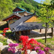 여여정사 밀양 동굴법당 삼랑진 이색사찰(절)나들이 부처님오신날 부산 근교 드라이브 가볼만한곳