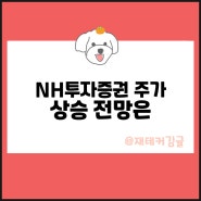 NH투자증권 주가 증권주 상승 이유와 전망은