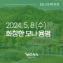 2024.5.8(수) 화창한 모나 용평 풍경