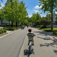 서울 보라매공원 | 아이랑 피크닉, 자전거 타기 좋은 공원 (주차장)