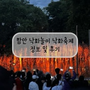 [경남 함안 여행] 함안 무진정 낙화놀이, 낙화축제 정보 및 꿀팁 후기