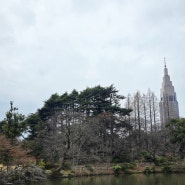 벚꽃 찾아 떠난 도쿄 3박4일 여행 Day 2