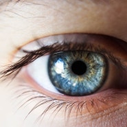 루테인효능 눈건강에 어떤 영향을 미칠지 알아보아요.