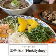 [아시안식] 부담없이 즐기기 편한 성신여대 동선동 쌀국수 맛집 포앤시드니(Pho&Sydney)