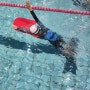 초등 생존 수영 실기교육내용, 준비물