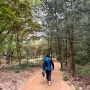 맨발걷기, 북카페, 놀이터…숲이 주는 즐거움 가득! 북한산 숲속쉼터