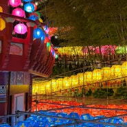 부산 부처님오신날 삼광사 연등축제 점등시간 주차정보