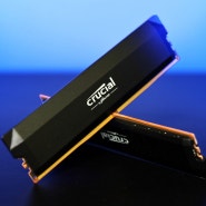 마이크론 Crucial DDR5-6000 CL36 PRO 메모리 14700KS Z790 XMP EXPO