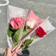 거제 로즈데이 한송이 메세지 꽃다발/플라워쥴리 꽃집