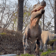 남양주 미호박물관 공룡 박물관 한강뷰 카페 공룡 좋아하는 아이와 놀거리 볼거리 가득한 곳