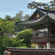 서울 사찰 절 부처님오신날 가볼만한곳 봉은사 명상길 숲길 주차