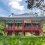 한국에서 가장 오래된 정자 춘천 봄나들이 갈만한곳 봉의산 소양정