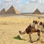 이집트, 요르단 여행 13박 16일 - 라이징 투어
