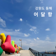 동해시 가볼만한곳 어달항 포토존