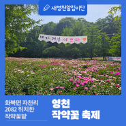 꽃향기 가득한 2024 영천 작약꽃 축제