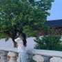 [서울] 경복궁 | 야간개장 날씨 시간 경복궁코디 경복궁 사진 포토존 꿀팁