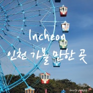 인천 당일치기 여행 가볼만한곳 BEST 5 차이나타운 자유공원 월미바다열차