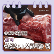자취생을 위한 고기 신선하게 보관하는 방법: 얇은/다진고기는?