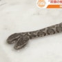"세상에 이런 뱀이" 머리 2개 달린 쌍두사, 일본에서 죽은 채 발견