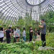 [유기농신문] 사라져가는 우리 지역 식물들 환경부 ‘우수 환경교육프로그램’ 신규 지정