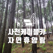 사천케이블카 자연휴양림 - 야영장 / 캠핑장 - 편백나무숲에서 즐기는 진정한 힐링 숲 캠핑