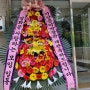경기 양평군 꽃배달 기산음악박물관 개관 축하화환