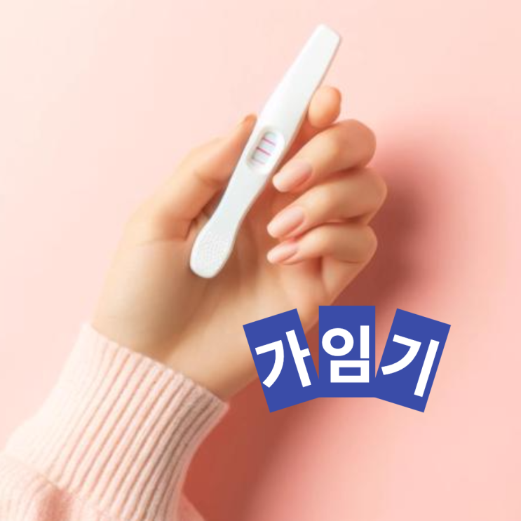 가임기 뜻 배란일 증상 가임기 임신확률 높은 날 관계 : 네이버 블로그
