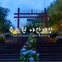담양 죽녹원 최초 야간 개장(5.11~5.15) 밤산책 다녀오기