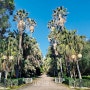 이탈리아 나폴리 식물원