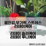 무기력, 불안감, 스트레스케어 홍경천추출물, 테아닌이 들어간 RE:DAY 리데이 솔라케어, 루나케어를 소개합니다.