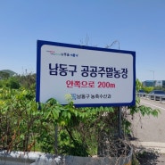 인천 남동구 공공주말농장 초보 도시농부의 텃밭 가꾸기