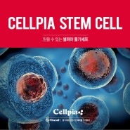 [부산 센텀 연의원] 미라셀 셀피아 줄기세포 항노화 주사 1탄✨