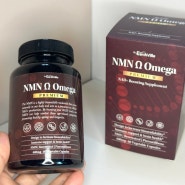 NAD+영양제 어스빌바이오COM NMN OMEGA