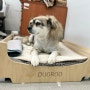 중형견 강아지 원목침대 마루 두그루 쇼룸에서 구매 완료