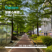 [Hanbat Arboretum] 한밭수목원 - <대전> 날씨 좋은 날 산책하기 좋은 곳 / 예술의전당 & 시립미술관 근처 가볼 만한 곳 / 벤치에 앉아 엽서쓰기 / 피크닉