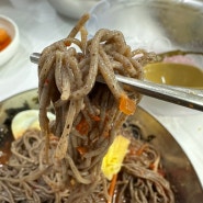 속초 막국수 맛집 ㅣ 순메밀 맛볼수 있는 현지인 식당 호반골막국수