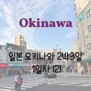 일본 오키나와 여행 :: 패키지 2박3일 1일차(2) (국제거리,얏빠리스테이크 4호점, 포장마차 거리(야타이 무라), 이자카야 waya, 돈키호테)