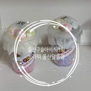 [울산디저트맛집]울산구슬아이스크림 "그라미 울산달동점"