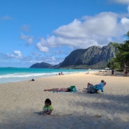 하와이 카일루아 비치 셔우드 해변 프라이빗 비치 마카푸우 비치 파크 코스트코 가격 ROSS 아이와 하와이 여행 Day 6