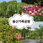 서울 주말나들이 피크닉 장소 용산가족공원 놀이터 주차
